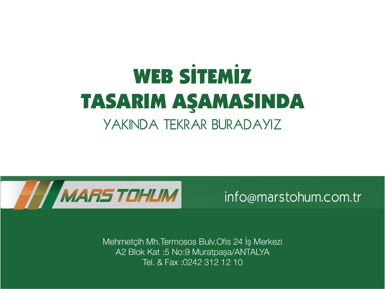 Mars Tohum